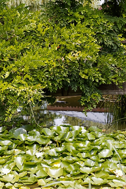 Jardin des Impressionnistes-112